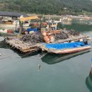 볼락 밤낚시 체험 이미지