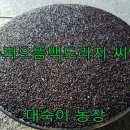 까치슈퍼 이미지