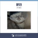 고척원동물의료센터 이미지