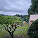 가평솔마당 이미지