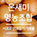 온새미영농조합법인 이미지