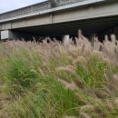 죽전구내식당 이미지