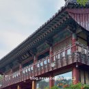 만연사 입구 주차장 네이버블로그