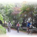 축동농로 | (11선 서천, 군산 일원) 1부 : 군산시내 투어, 신성리갈대밭, 천방산임도, 가루골 앵두 1부