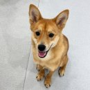 바우스쿨 이미지