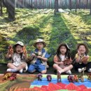 노란풍차유치원 이미지