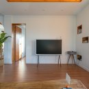 빈도롱이 이미지