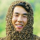안상규벌꿀 이미지