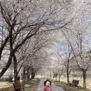 서하체육공원 이미지