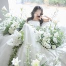 다복해 | [결혼/플라워 디렉팅]무이 스튜디오 '모넬리' 플라워 디렉팅 후기