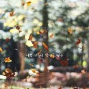 바다가좋아 이미지