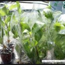 등불농장 이미지