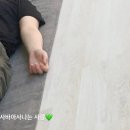 요가바그야