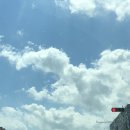 하늘하개 이미지