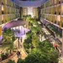 SKY.STAR.SEA | 크루즈 스타 오브 더 시즈: 압도적인 규모와 럭셔리 시설 완전 탐험 후기 | 로열캐리비안 카리브해 여행