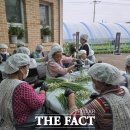 내판4리마을회관 이미지