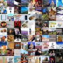 서은컴퍼니 | 블로그 인기 포스팅만 모아: 매일 최신의 인기 블로그 포스팅을 한곳에서!! (2025.09.08 17:16)