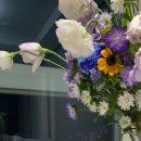 (주)메디모어 | [시카크림] 세레치피 센텔라 모어 크림 #솔직후기