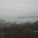 태광건강원 네이버블로그