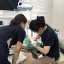 서울럭스치과의원 이미지