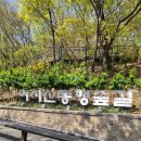 아차산 동행숲길 | 26년 4월13일 천천히 걷기 좋은 쉬운 산책로 아차산 동행숲길