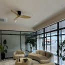 산호대로-60 이미지