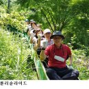 초롱꽃어린이놀이시설 이미지