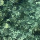 11650-7-69-25 | [동해 묵호] 이렇게 핫해지기 전 25년 여름에 다녀온 묵호항 여름휴가 이야기