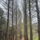 원주굽이길 14코스 흥업캠퍼스낭만길 이미지