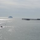 보석태양광발전소 이미지