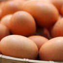 우리계란마트 이미지