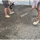 신두리세븐패밀리캠핑장 | 태안이벤트캠핑장 가족 캠핑의 행복한 기억을 남긴 신두리세븐패밀리캠핑장 후기