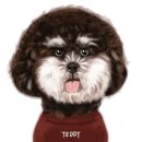 퍼스트독앤캣 이미지