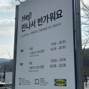 이케아코리아동부산지점 (비스트로고객) | 이케아 딸기 아이스크림 후기 | 봄에만 먹을 수 있는 계절 한정 와플콘 1,500원