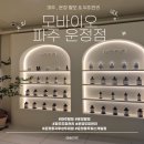운정 | [파주 , 운정 두피 &amp; 탈모 관리] - 모바이오 파주 운정점 후기