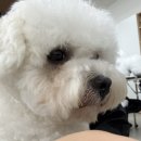 평화로09 | 09