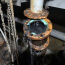 체육관 화장실 이미지