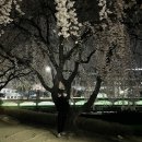 베어짐(BEAR GYM) 이미지