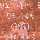 정도리펜션 이미지