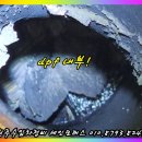 원인 - 엔진오일 관리 실패 사례(디젤 차량 흰 연기 문제 - 수리 후기)/브라운가스 크리닝과 엔진오일 관리