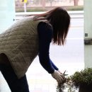 트리안헤어