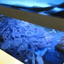 가르텐비어금정점 이미지