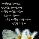 범서중학교 이미지
