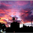 사리원냉면 이미지