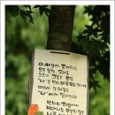 트로피아 - 광양시 삼봉산로 23 | 트로피아
