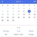 신명식품 | 스위치온 다이어트 재도전 3주차 후기 : 식단표,허용식품,반복
