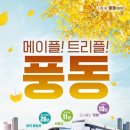 숲속마을2단지 정류장 네이버블로그