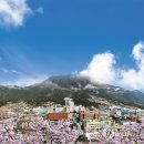 부곡온천 이미지