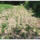 왕지농장 이미지