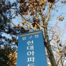 강남-096 이미지